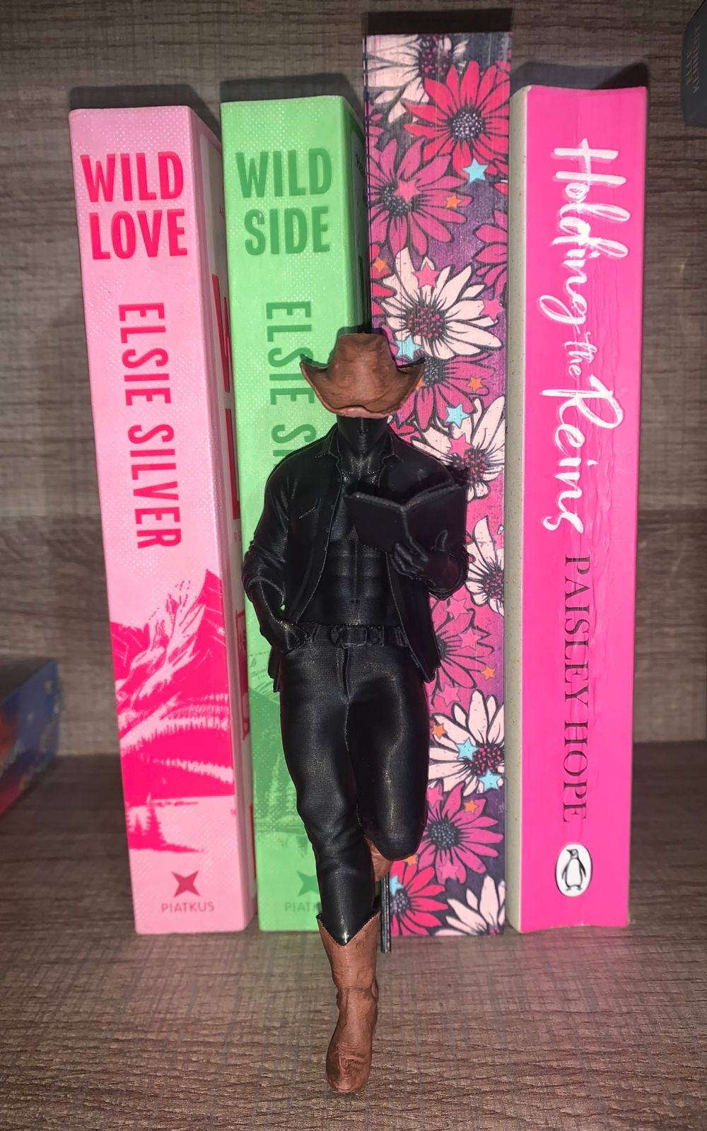 The cowboy book boyfriend (insert)