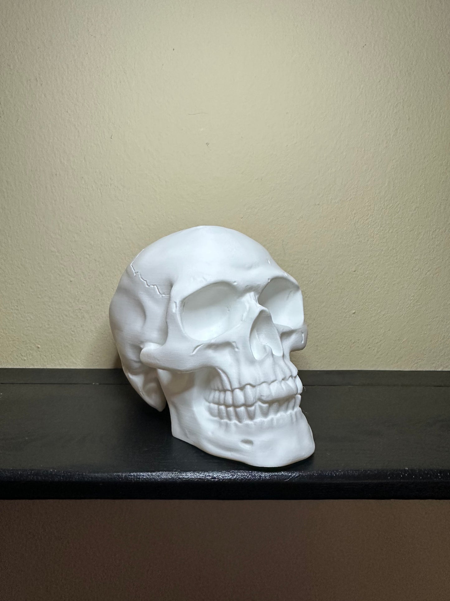 Skull Decor