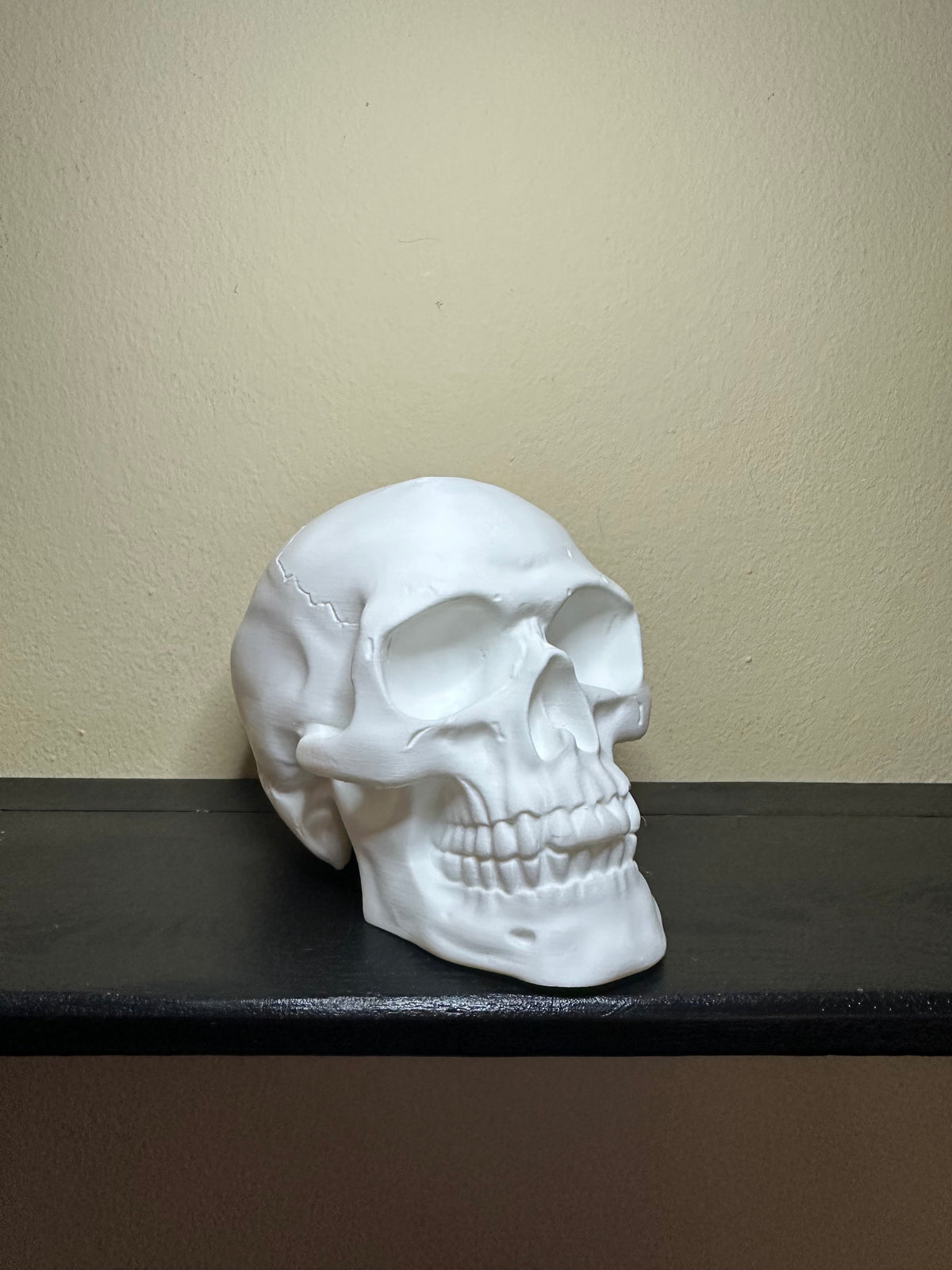 Skull Decor